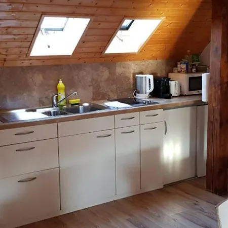 Cozy With Roof Terrace For 3 * Zurich