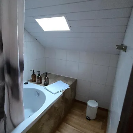 Cozy With Roof Terrace For 3 Lägenhet Zürich