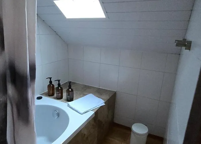 Cozy With Roof Terrace For 3 Апартаменты Цюрих