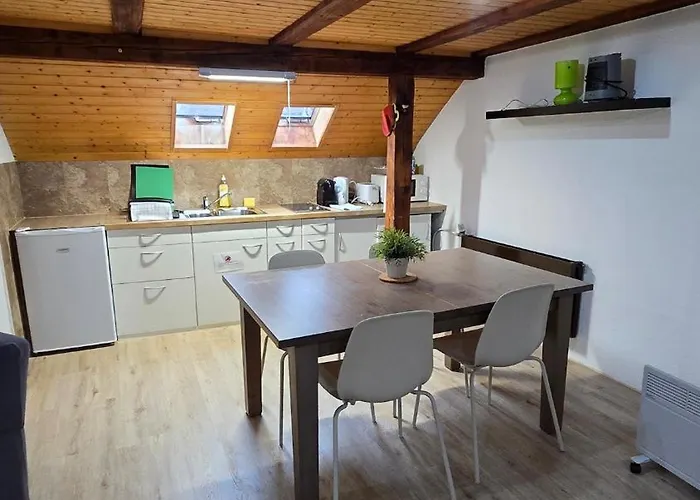 Cozy With Roof Terrace For 3 * Ζυρίχη