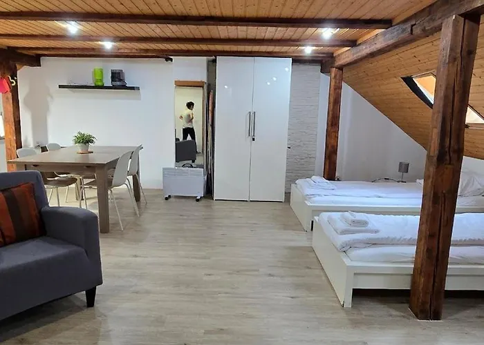 Cozy With Roof Terrace For 3 Апартаменты *