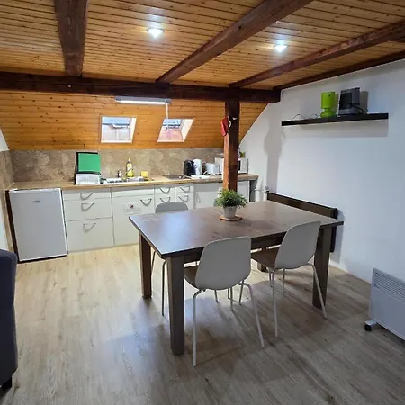 Cozy With Roof Terrace For 3 * Zürich