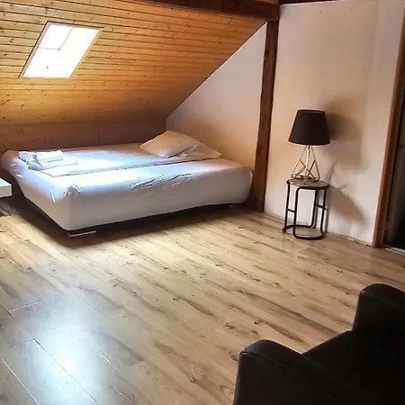 Appartement Cozy With Roof Terrace For 3 Zurich