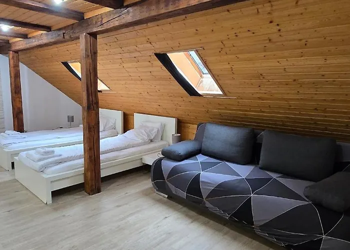 Cozy With Roof Terrace For 3 Апартаменти Цюрих